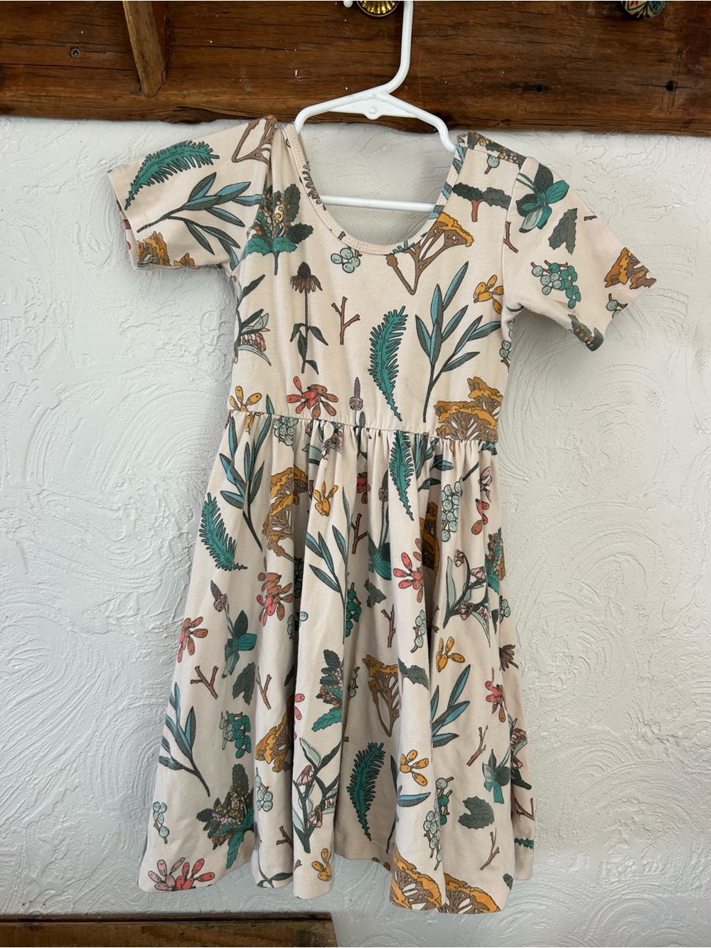 Alice & Ames size 5 dress, herbal study
